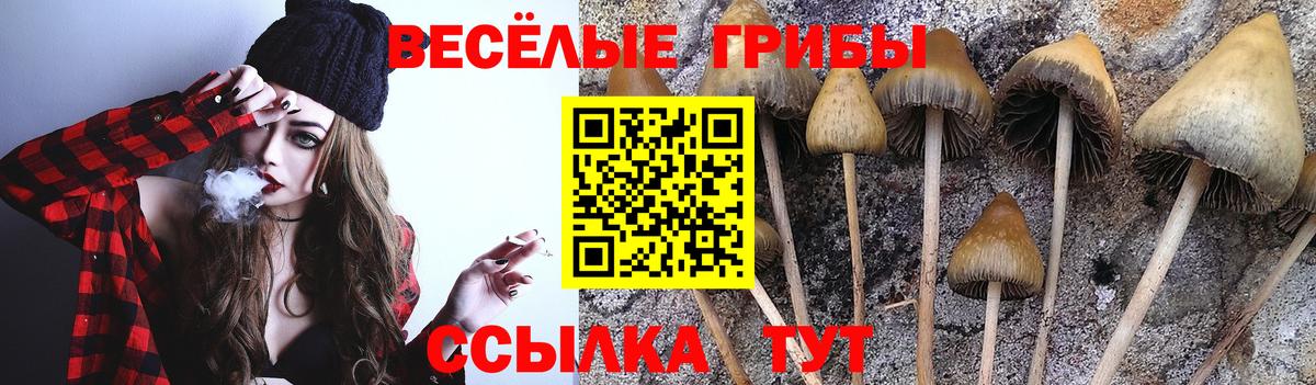 Надым  Псилоцибиновые грибы мухоморы  наркошоп  Вход с VPN 